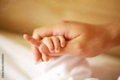  赤ちゃんと母の手 © yamasan