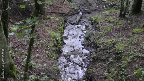Campigna -  parco delle foreste casentinesi
