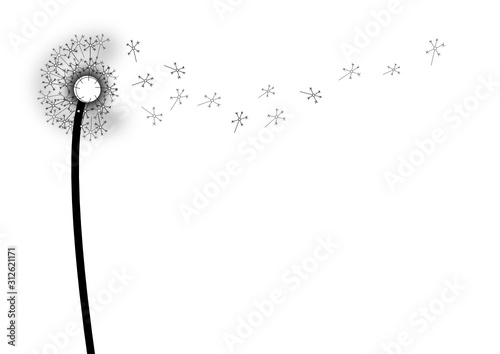 Pusteblume