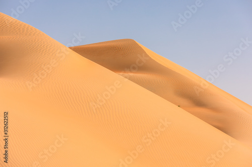 Abstract view of sand dunes in the desert at sunrise with a little green bush. Liwa desert, Empty Quarter, United Arab Emirates.