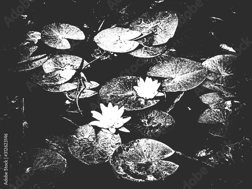 Vector flowers over black background