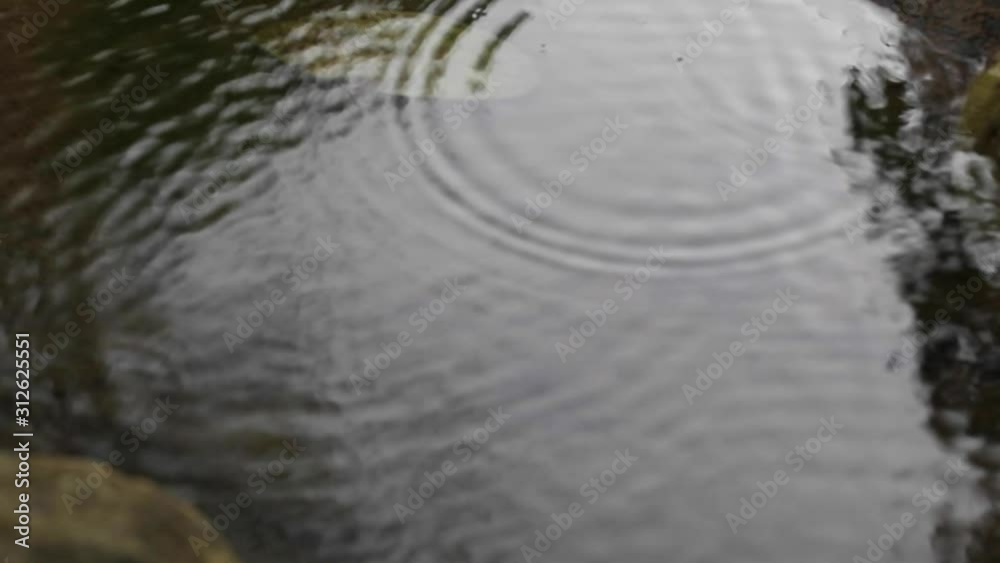 Raindrop Ripples Raindrop Ripples
