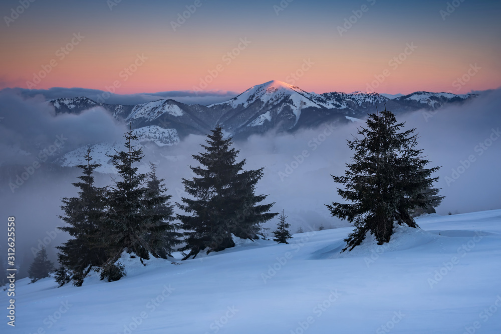 Winter landscape in Slovakia. Velka Fatra mountains under snow. Frozen snowy trees and dark sky panorama.