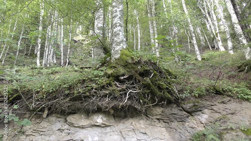 Campigna -  parco delle foreste casentinesi