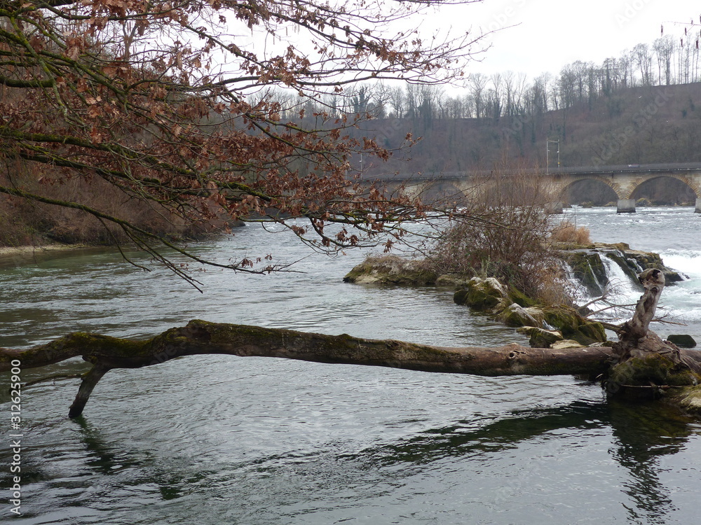 River River