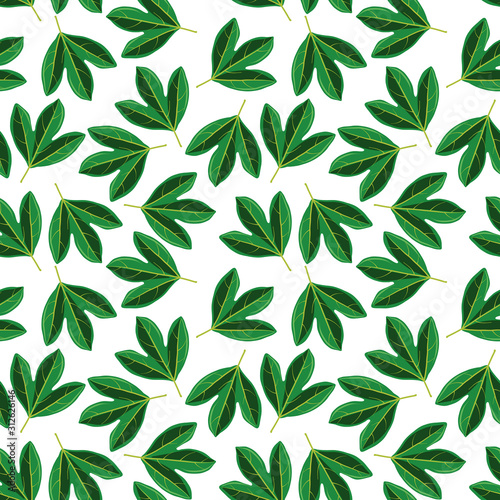 vector seamless pattern with drawing leaves