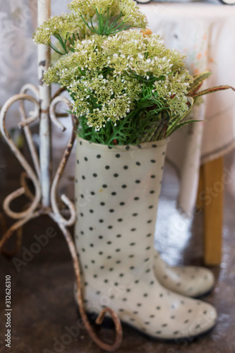 Garden trees plant in the rain boot