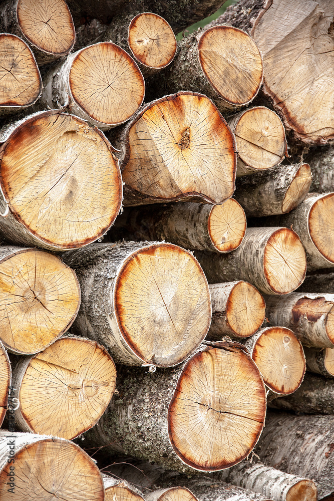 pile of logs pile of logs