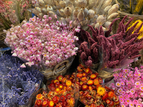 Flower Market in Amsterdam  Netherlands