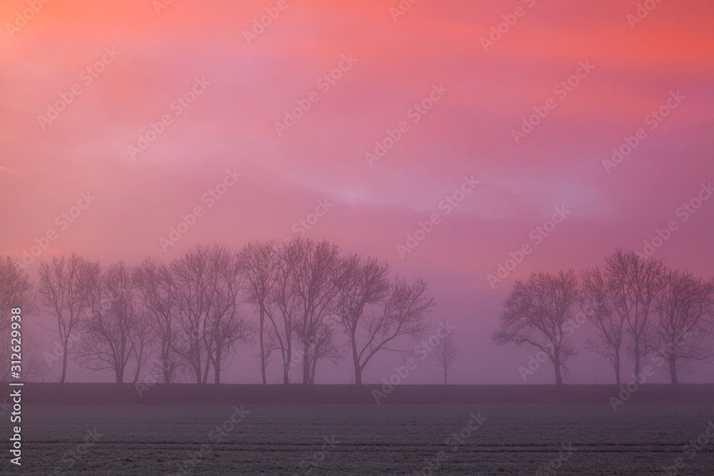 The foggy landscape at dramatic sunrise. The foggy landscape at dramatic sunrise.