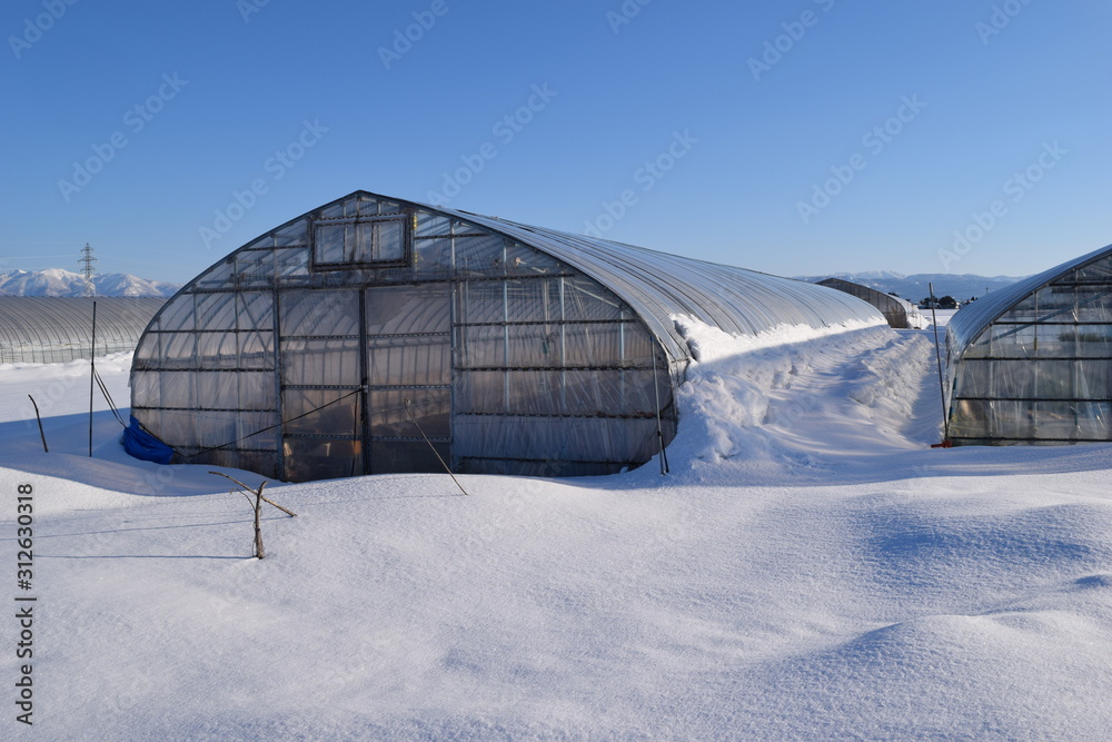 雪の中のビニールハウス