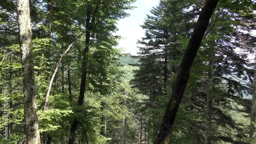 Campigna -  parco delle foreste casentinesi