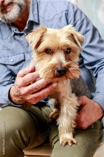 Friends forever: man and his lovely dog