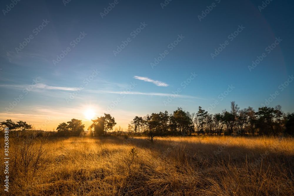 Sun shining over golden grassfields at national park 