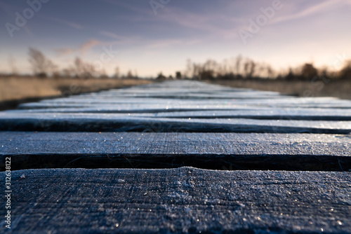 Golden hour in Limburg. Wooden pathway through national park de groote peel on the border between Limburg and North Brabant in the Netherlands. Winter landscape. photo