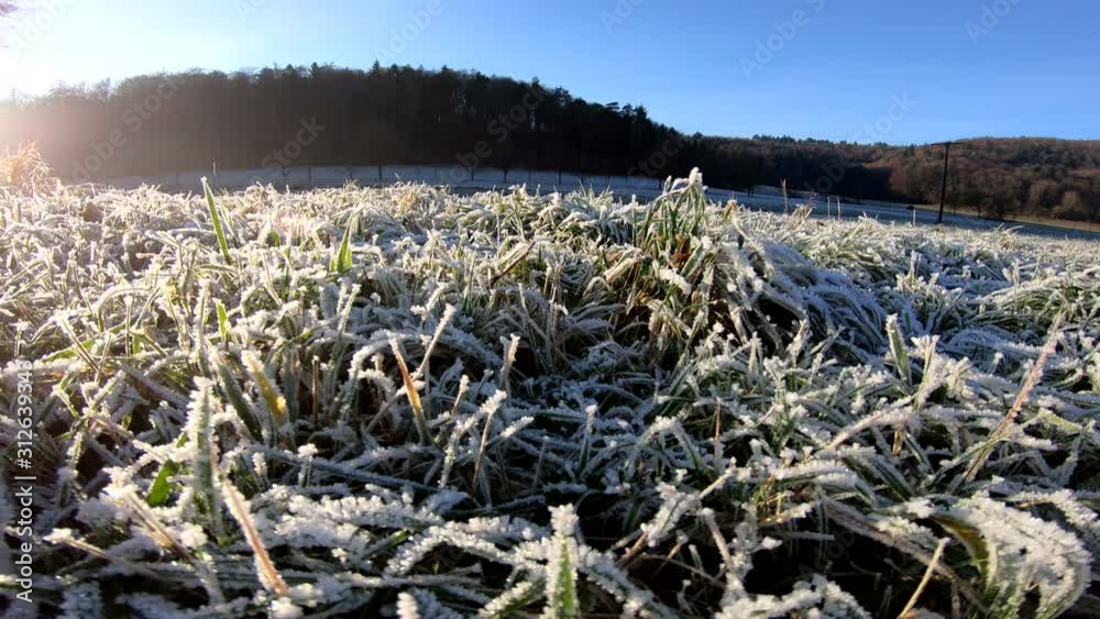 Wiese mit Raureif am Wintermorgen, Kameraschiene