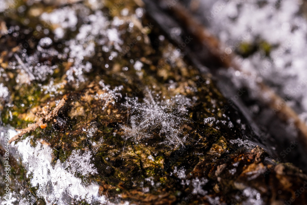close-up snowflake lies on an ice branch close-up snowflake lies on an ice branch