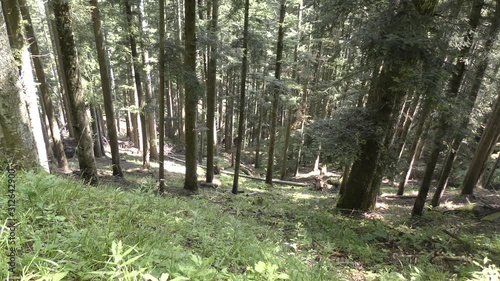 Campigna -  parco delle foreste casentinesi