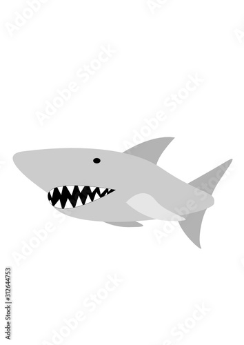 Shark