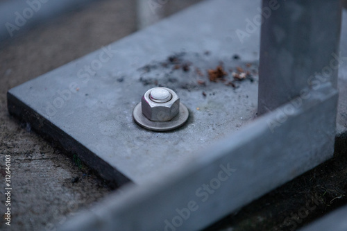 Screw