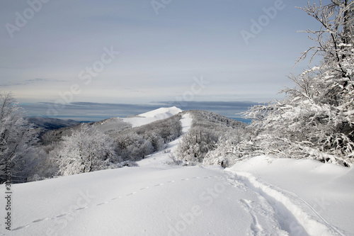 Bieszczady połonina Wetlińska zima