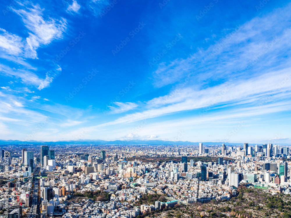 渋谷・新宿エリアと東京広域イメージ