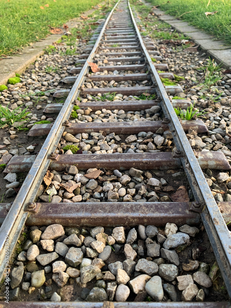 Naklejka premium rails de train