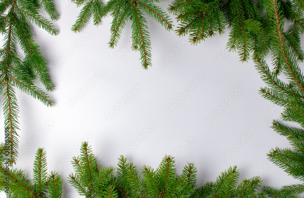Fototapeta premium frame of fir branches on a white background. Place for text.