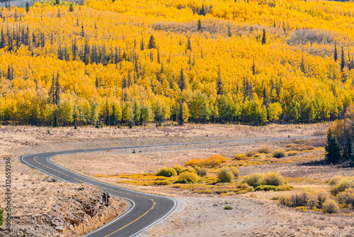 Autumn Road through San Juan Mountains