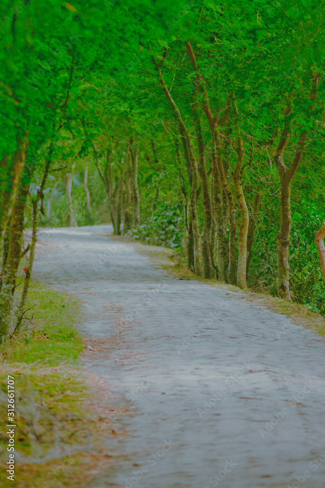 Obraz premium Road Background 