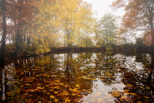 autumn at the old pond