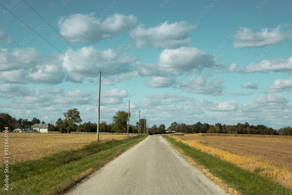 Puffy Clouds, blue skies and a road through farms