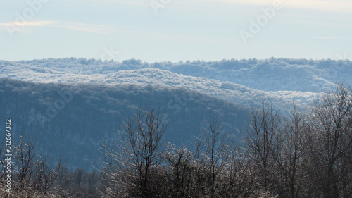 mountains and forest covered with white snow © eliyashevskiy