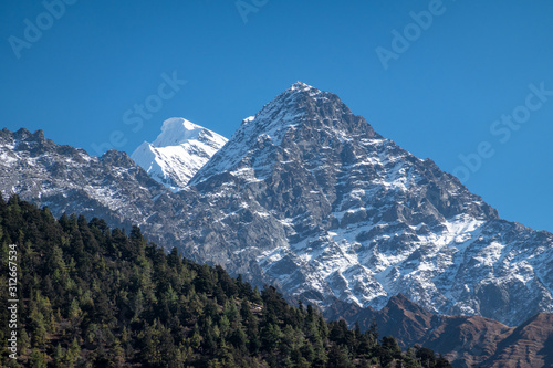 Snow Covered Mountain Peak Behind the Pine Covered Hill © World Travel Photos