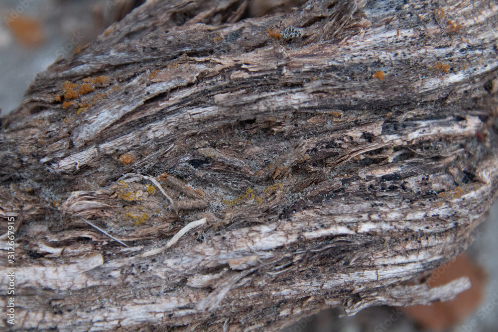 Badlands macro Badlands macro