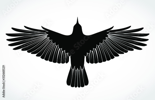 crow silhouette illustration