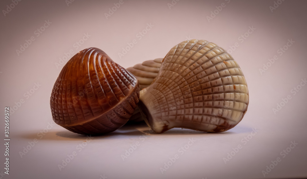 Praline Konfekt mit heller und dunkler Schokolade in Muschelform Praline Konfekt mit heller und dunkler Schokolade in Muschelform