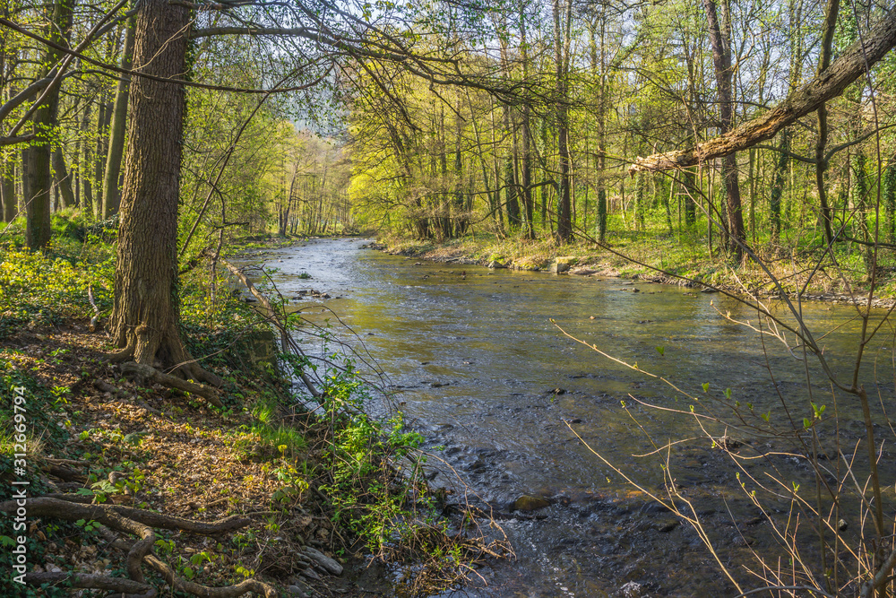 Wilder Fluss in Thüringen Wilder Fluss in Thüringen