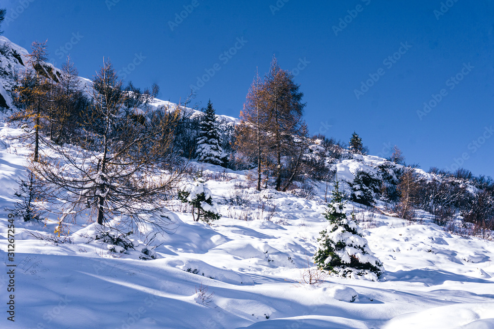 Fototapeta premium The snowy mountains, the forest and nature after the first snowfall of the season in the alps, near the town of Tartano, Italy - November 2019.
