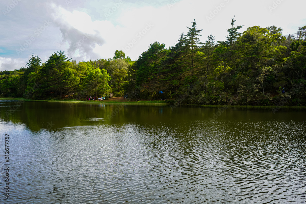 Beautiful landscape of the Don Manuel Lagoon that is in the forest Beautiful landscape of the Don Manuel Lagoon that is in the forest