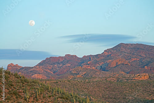 Spring landscape at moonrise along the Apache Trail, Tonto National Forest, Arizona, USA