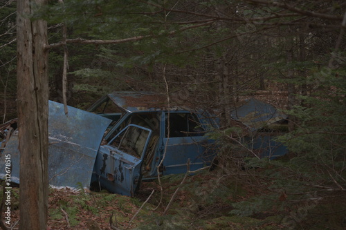 old car in forest © Peter Produced