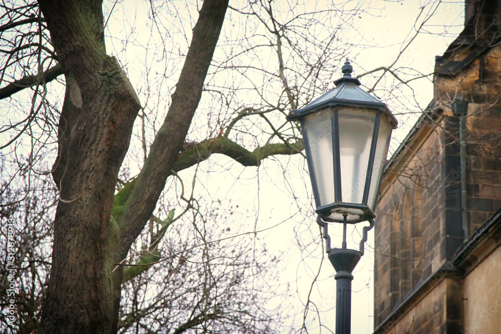 Old street lamp and bare trees at winter. vintage filtered