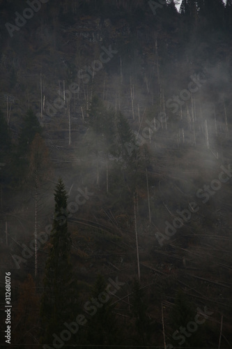 Deforestation in italian Alps mountains. Natural disaster