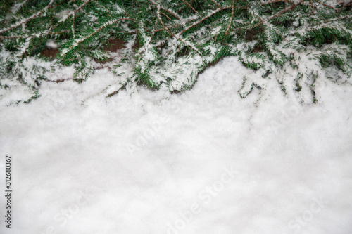 Winter christmas background with snow and christmas tree. New year concept