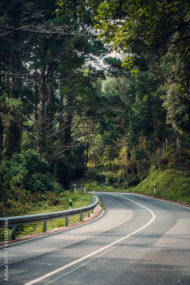 Fototapeta premium CARRETERA País Vasco