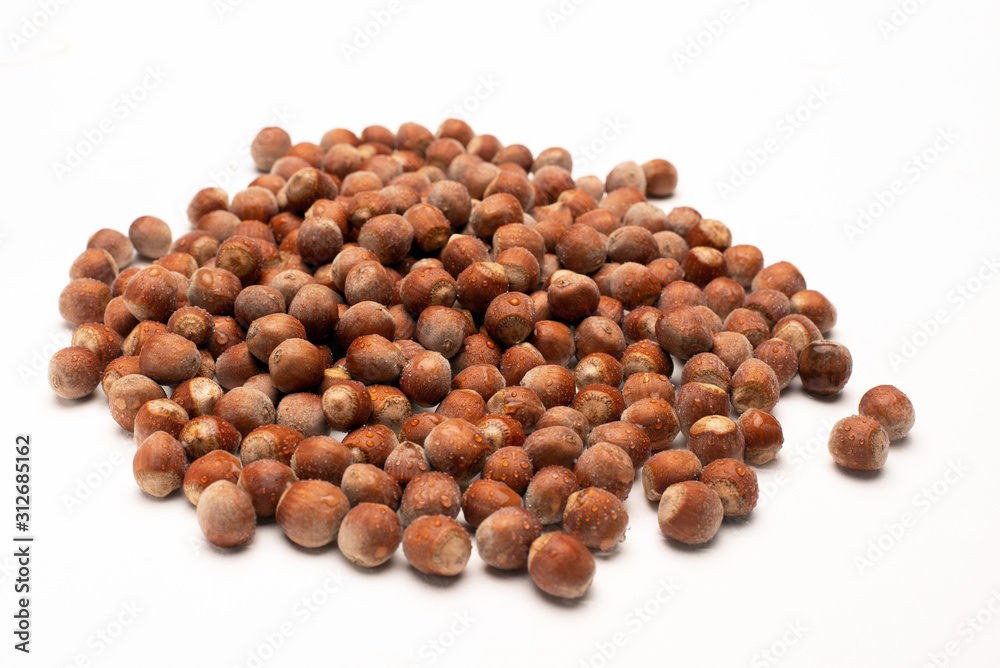 hazelnut isolated on a white background hazelnut isolated on a white background