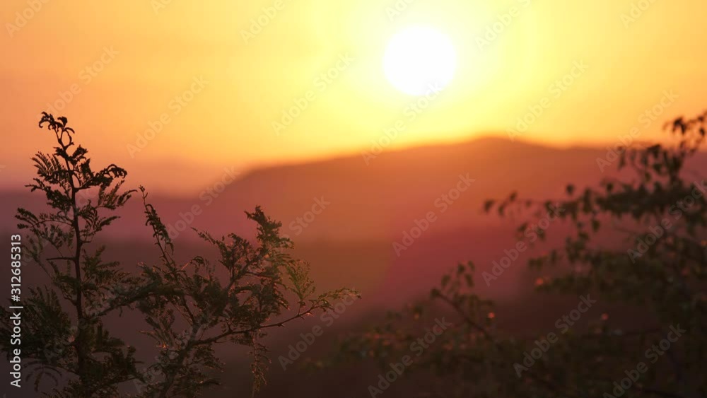 African Sunset on Safari in South Africa African Sunset on Safari in South Africa