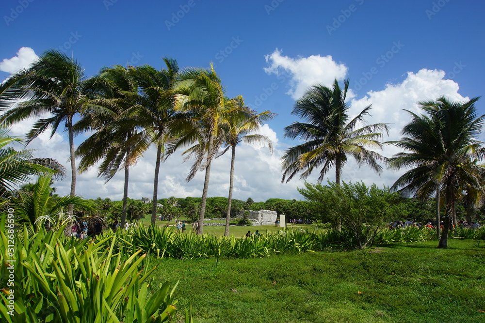 Fototapeta premium Mayan ruins in Tulum, Mexico September 2018
