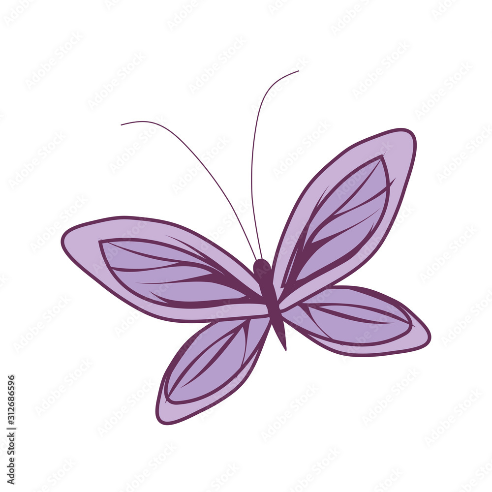 cute butterfly insect vector design cute butterfly insect vector design